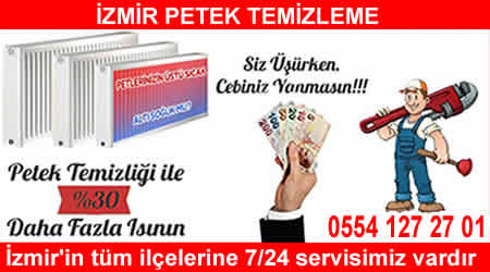 İZMİR PETEK TEMİZLİĞİ